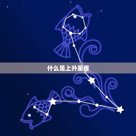 02/22星座|2月22日是什么星座？是双鱼座